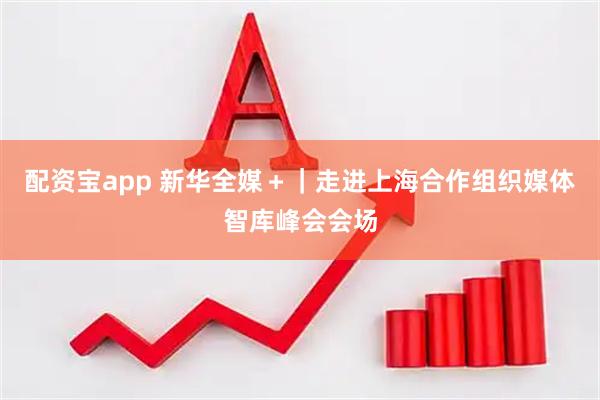 配资宝app 新华全媒＋｜走进上海合作组织媒体智库峰会会场