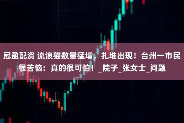 冠盈配资 流浪猫数量猛增，扎堆出现！台州一市民很苦恼：真的很可怕！_院子_张女士_问题