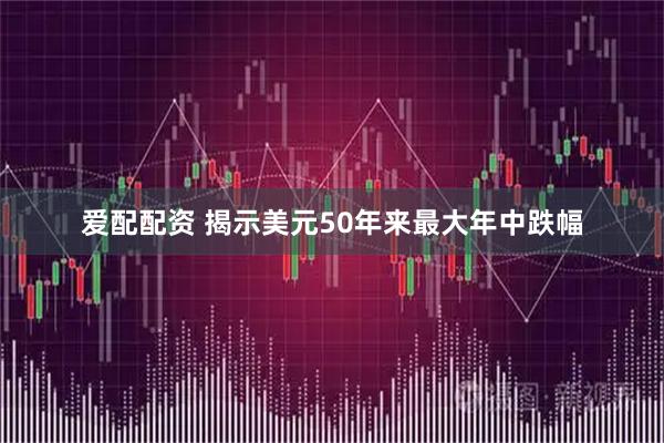 爱配配资 揭示美元50年来最大年中跌幅