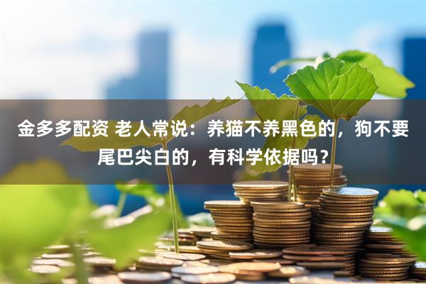 金多多配资 老人常说：养猫不养黑色的，狗不要尾巴尖白的，有科学依据吗？