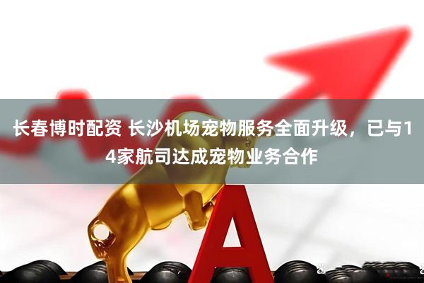 长春博时配资 长沙机场宠物服务全面升级，已与14家航司达成宠物业务合作