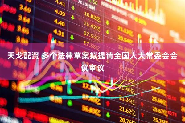 天戈配资 多个法律草案拟提请全国人大常委会会议审议