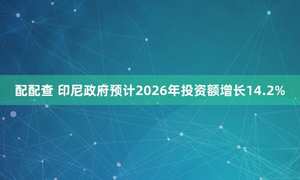 配配查 印尼政府预计2026年投资额增长14.2%