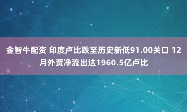 金智牛配资 印度卢比跌至历史新低91.00关口 12月外资净流出达1960.5亿卢比